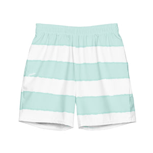 Charger Stripe Volley Short in Julep