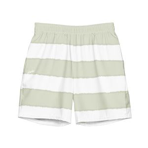 Charger Stripe Volley Short in Sage